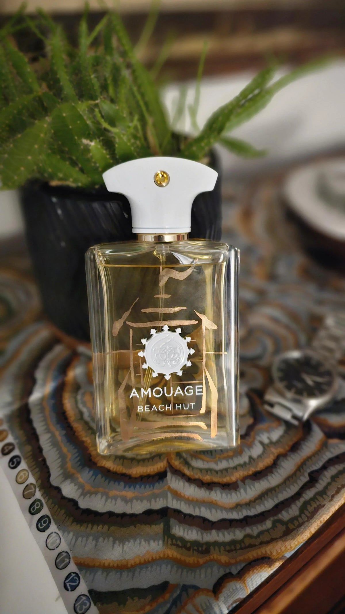 عطر Amouage Beach Hut أو دي بارفان For Him - 100 Ml