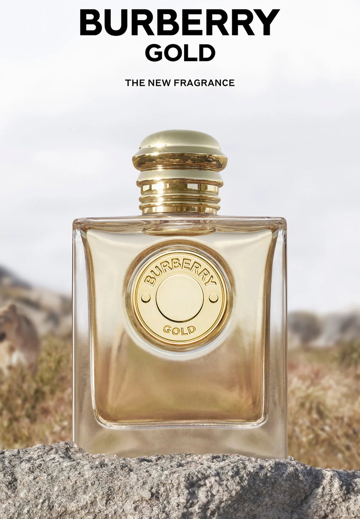 عطر بربري Gold أو دي بارفان للنساء - 100 مل