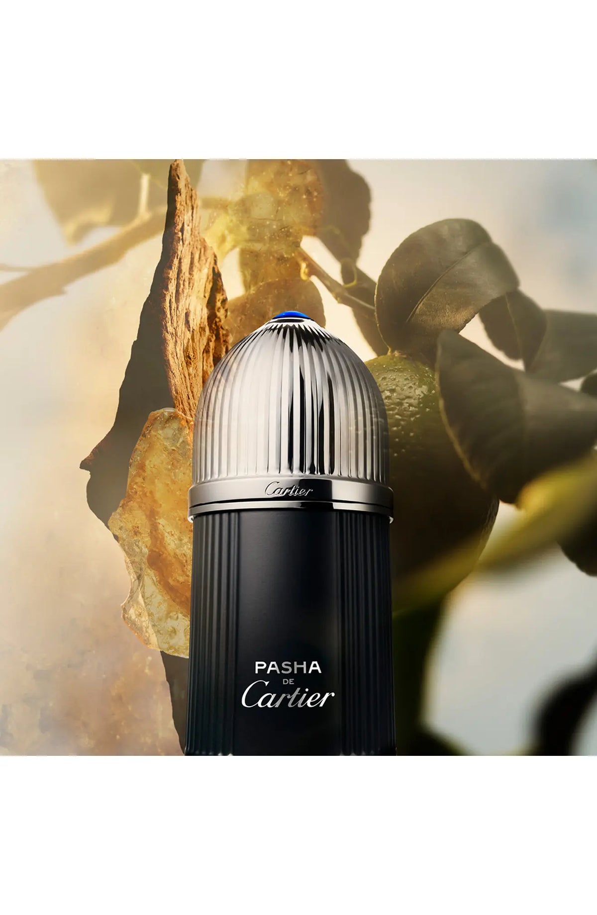 عطر Cartier Pasha de Edition Noire أو دي تواليت Silver Limited Edition للرجال - 100 مل