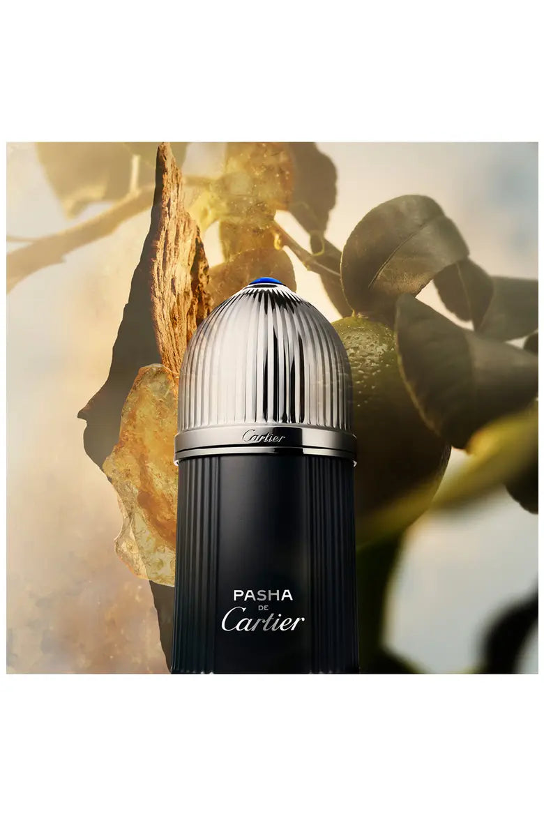 عطر Cartier Pasha Edition Noire أو دي تواليت للرجال - 100 مل