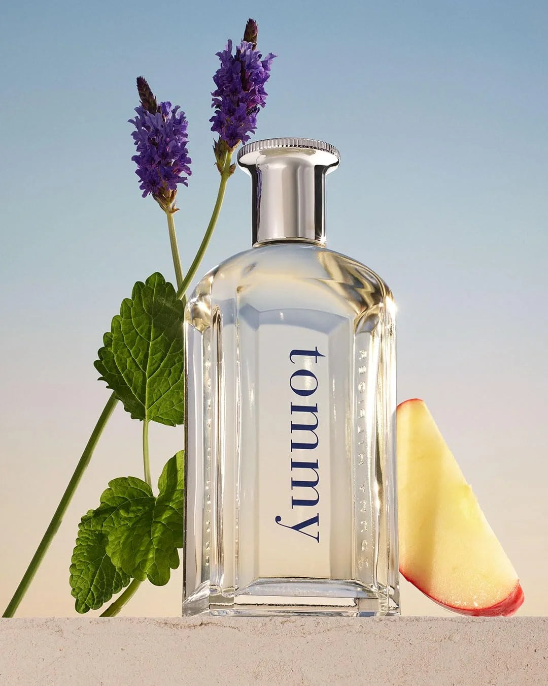 عطر تومي هيلفيغر Tommy أو دي تواليت للرجال - 100 مل