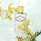 عطر برادا Infusion de Mimosa أو دي بارفان للنساء - 100 مل