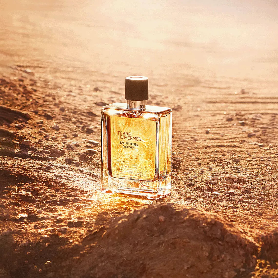 عطر هيرميس Terre d Hermes Eau Intense Vetiver أو دي بارفان للرجال - 200 مل